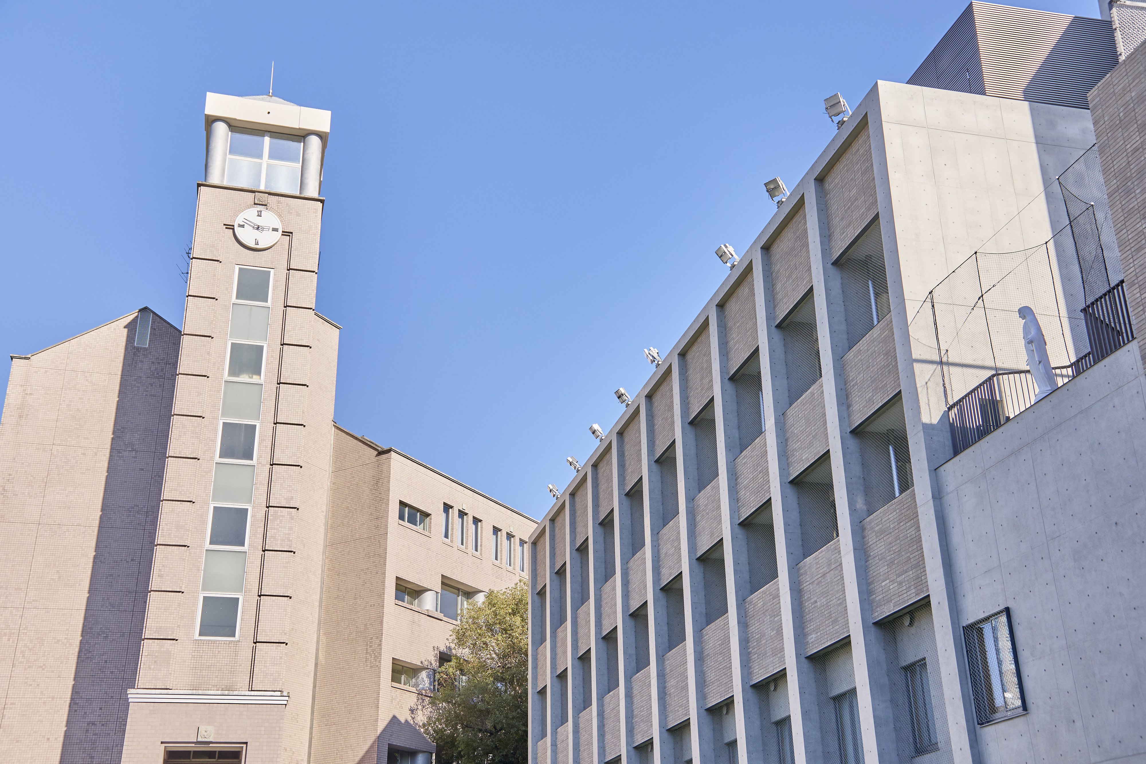 アイドルって恋愛したらいけないの？～法学特別授業(高1)