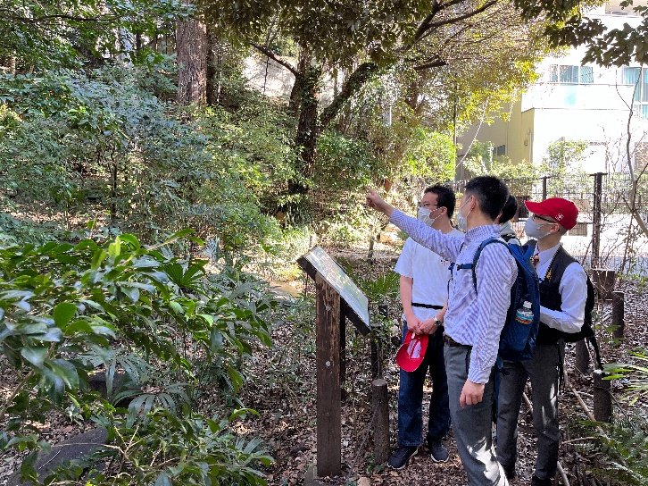 文京区で学ぶ歴史と植生～巡検(中高合同)