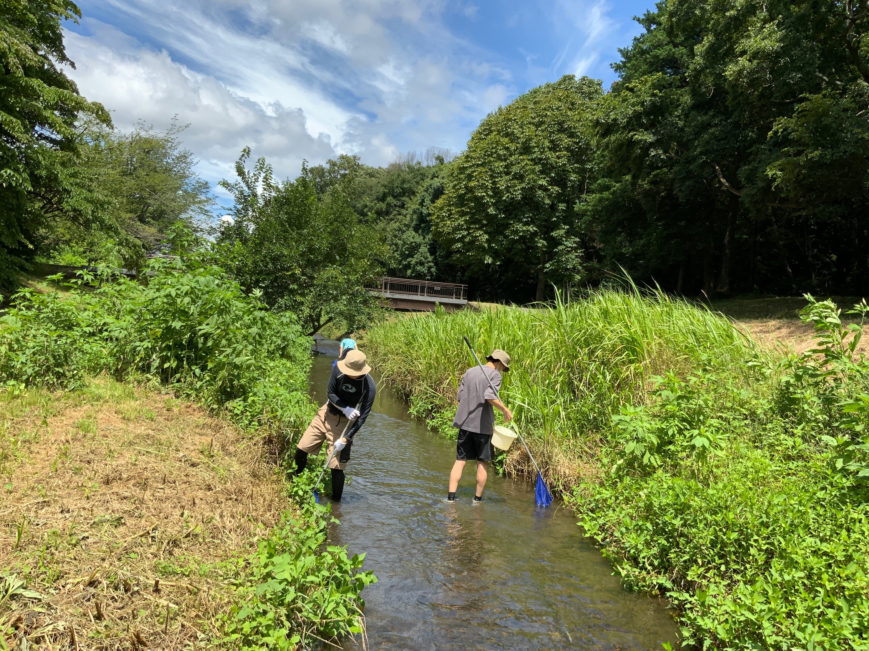 命を学ぶ～生物観察会